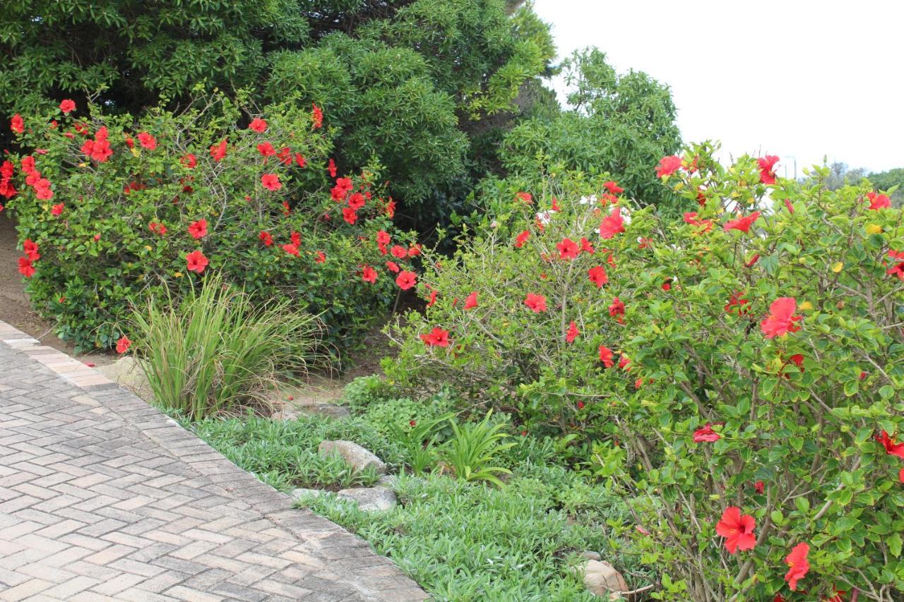 Beach Break B&B Port Alfred Esterno foto